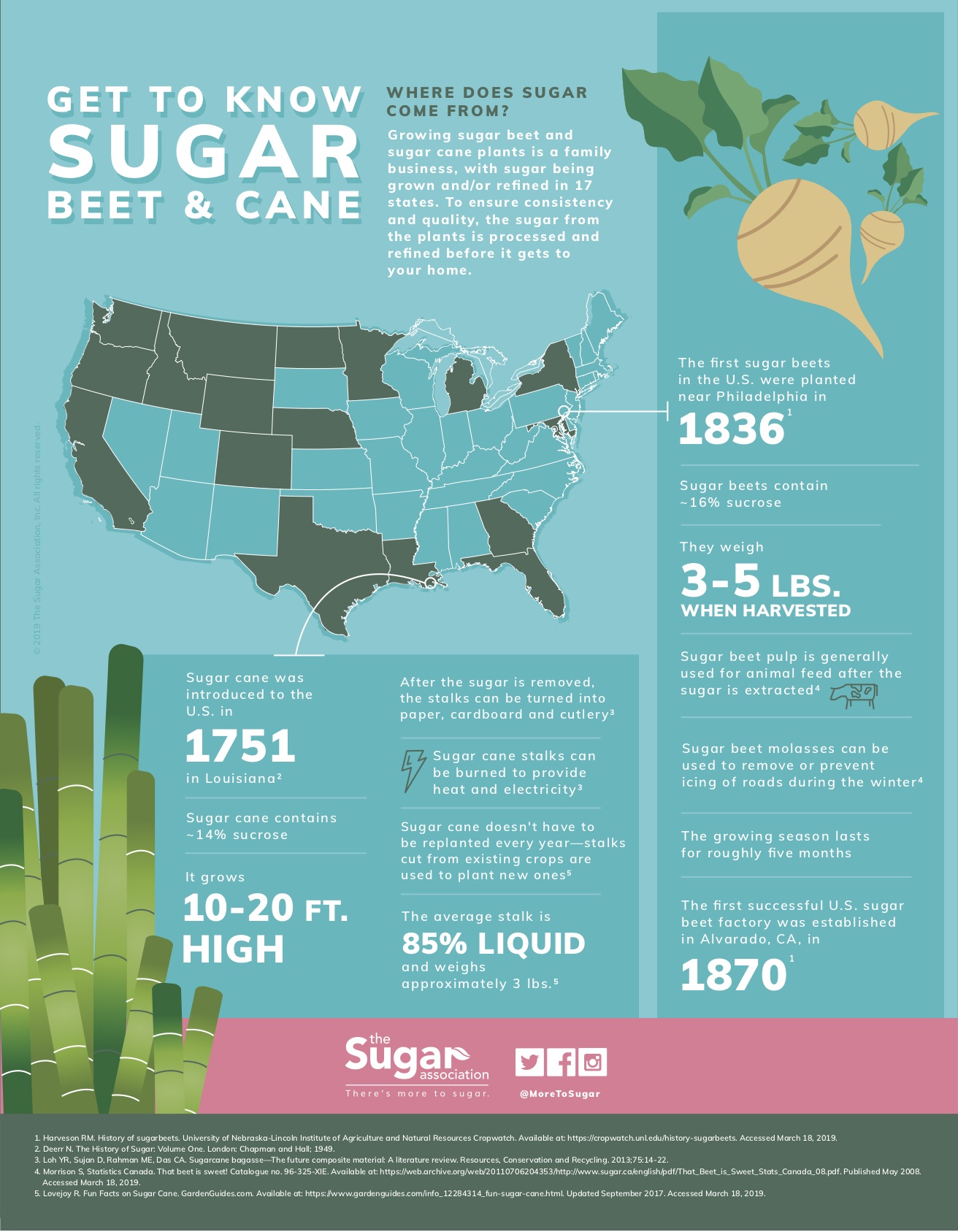 Get To Know Sugar
