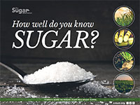 How Well Do You Know Sugar?
