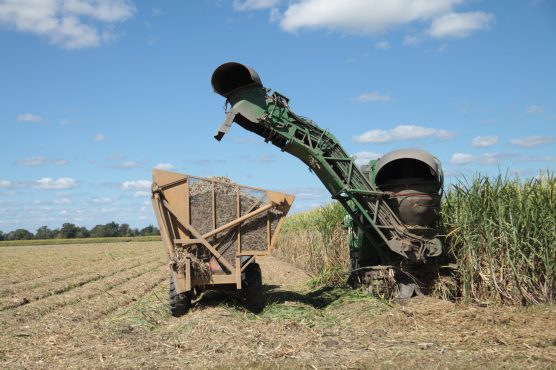 Sugar Cane harvester