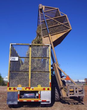 Sugar cane wagon