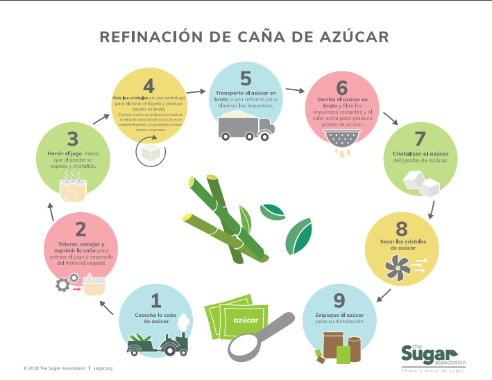 Infografía del proceso de refinación de la caña de azúcar